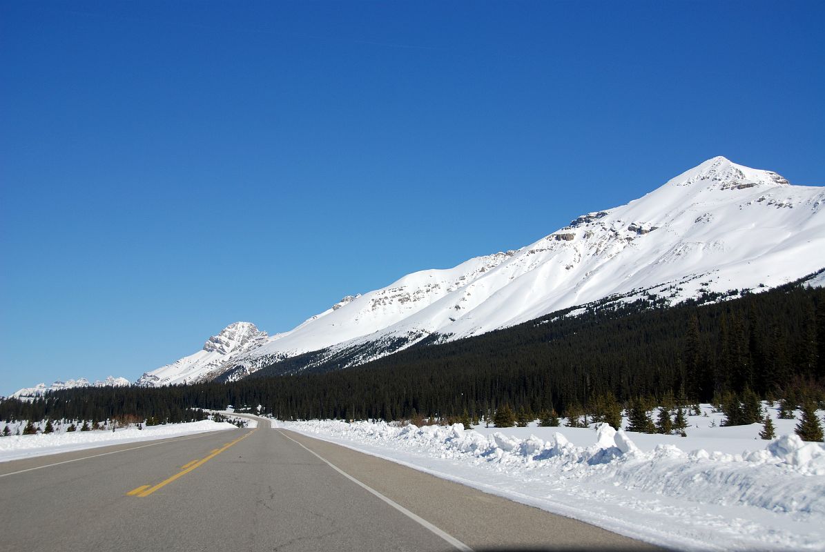 54 Mount Weed, Observation Peak From Icefields Parkway